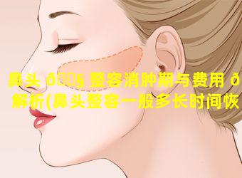 鼻头 🐧 整容消肿期与费用 🐟 解析(鼻头整容一般多长时间恢复)